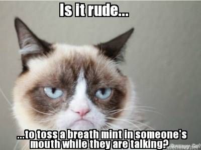 2193 best grumpy cat images on pinterest funny stuff, funny things 4824b68a725ad678819fca52c4f8124c grumpy cat quotes grumpy cat meme 2193 best grumpy cat images on pinterest funny stuff, funny things