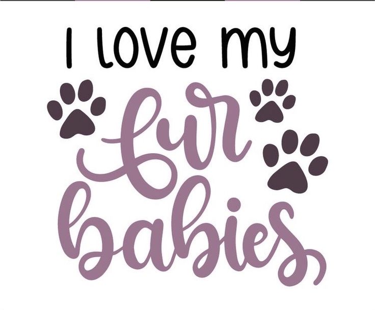 Fur Baby Quotes Dog Quotes Cricut Vinyl Svg Files For Cricut Vinyl Fur Baby Quotes Dog Quotes Cricut Vinyl Svg Files For Cricut Vinyl