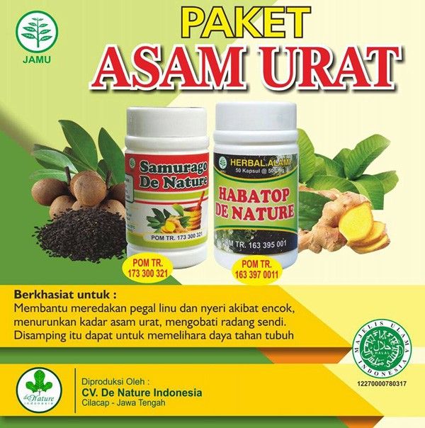 Obat Herbal Kolesterol Di Apotik