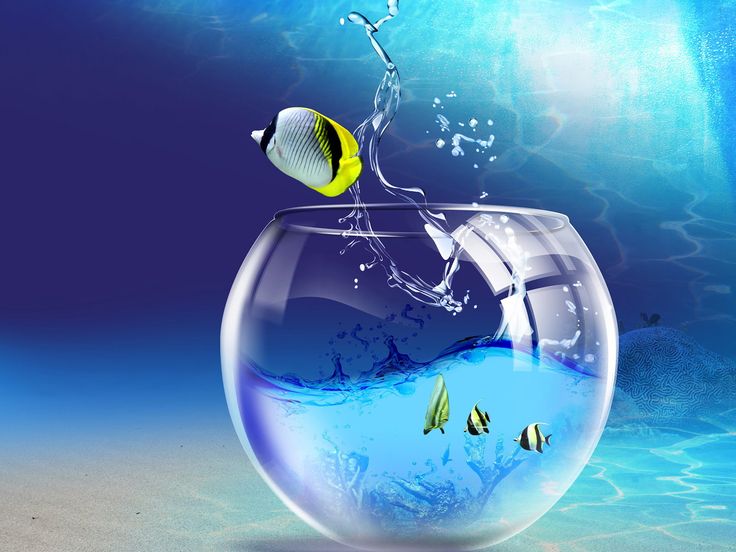 free screensavers for windows 7 Free moving screensavers for free screensavers for windows 7 Free moving screensavers for