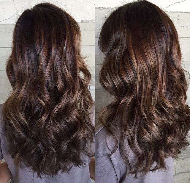 39 best color chart gt gt dia richesse dia light images on hair colours chart of browns