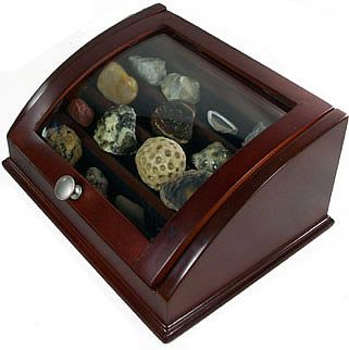 Rock Display Case Gem Beads Mineral Rock Display Case Gem Beads Mineral