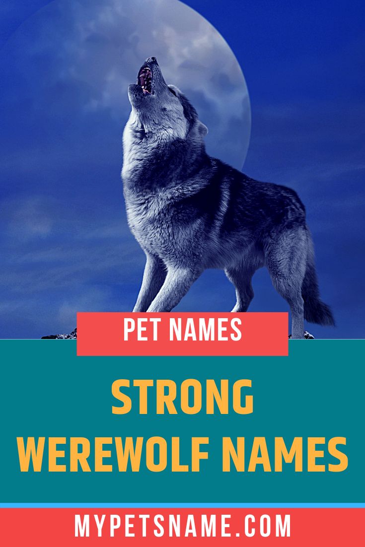 Strong Werewolf Names Werewolf Name Pet Names Werewolf strong-werewolf-names-werewolf-name-pet-names-werewolf