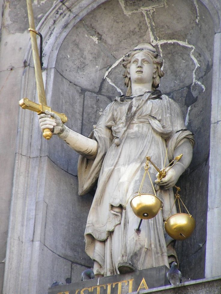 Insurance Defense Attorney Tampa