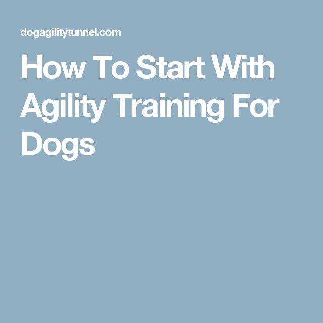how to start agility for dogs 25 b 228 sta agility for dogs id 233 erna p 229 tips om att tr 228 na how to start agility for dogs 25 b 228 sta agility for dogs id 233 erna p 229 tips om att tr 228 na