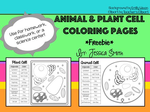Best 20+ Plant cell organelles ideas on Pinterest | Animal cell ... Best 20+ Plant cell organelles ideas on Pinterest | Animal cell ...