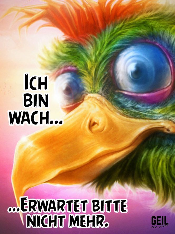 423 best guten gute Nacht, schönen Tag und ohne