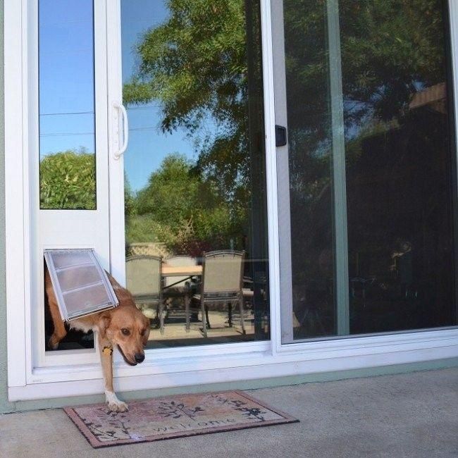 Endura Flap Thermo Panel 3e Sliding Glass Dog Door Pet Endura Flap Thermo Panel 3e Sliding, Temporary Dog Door Sliding Door