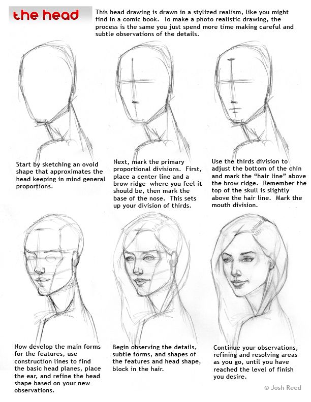 Drawsh: Head Drawing Step by Step | Drawing people, Drawings, Drawing