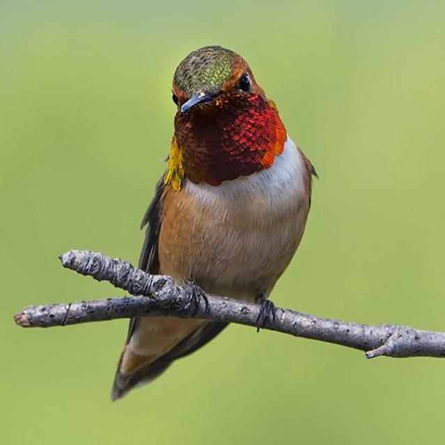 audubon mature singles Start meeting singles in audubon today with our free online personals and 100% free online dating in audubon, ia audubon mature singles | audubon . audubon mature singles Start meeting singles in audubon today with our free online personals and 100% free online dating in audubon, ia audubon mature singles | audubon .