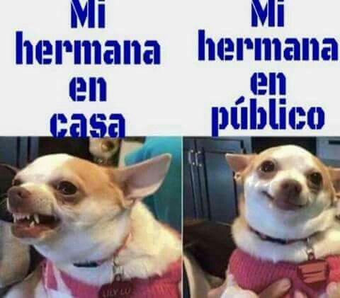398 best ¡spanish 1! images on pinterest spanish classroom 4903c8d43ac876bcb53f9daa89d36f19 humor 398 best ¡spanish 1! images on pinterest spanish classroom