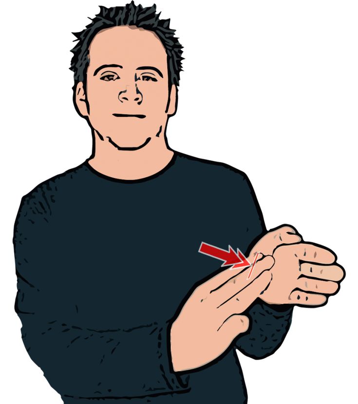 American Sign Language Dictionary Third Edition