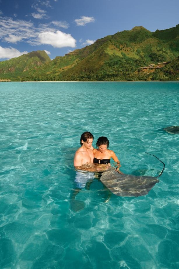 17 Best Activities Images On Pinterest Tahiti Bora And Dreams Ray Feeding In Moorea French Polynesia How Long Does It Take Us Water Sunlight Permeates To Forget Needing Ever Be Told