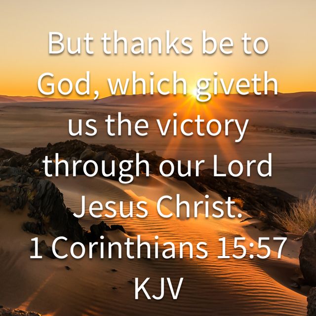 Pin on Bible
