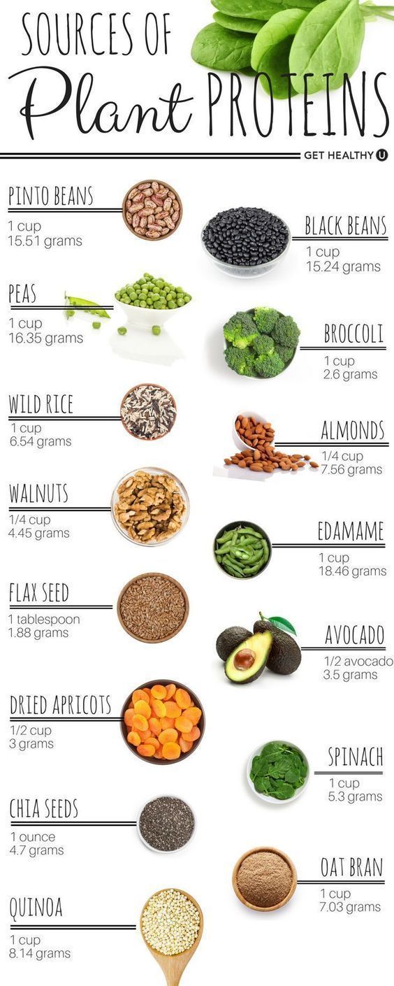 Protein can be found in both animal and plant-based sources! Check out the best plant-based sources of protein and find out how much you really need. #protein #plantbaseddiet #gethealthyu Protein, Nutrition, Healthy Recipes, Plant Based Recipes, Plant Based Eating, Plant Based Protein, Healthy Beans, Plant Based Diet, Plant Protein