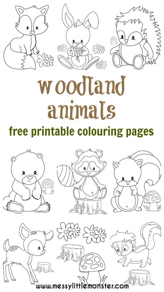 4000 Coloring Pages Woodland Animals For Free 4000 Coloring Pages Woodland Animals For Free