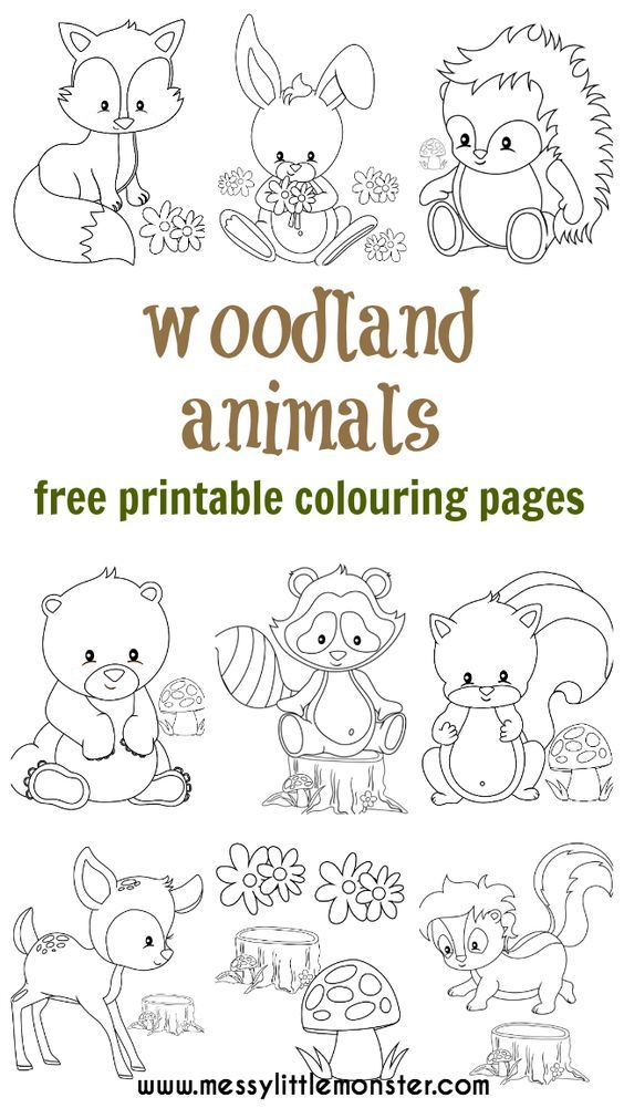 woodland animal colouring pages coloring pages animal on baby fox coloring pages id=86664