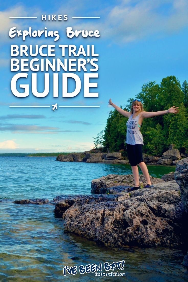 A Beginners Guide to Safe and Fun Pegging A Beginners Guide to Safe and Fun Pegging new pics A Beginners Guide to Safe and Fun Pegging A Beginners Guide to Safe and Fun Pegging new pics