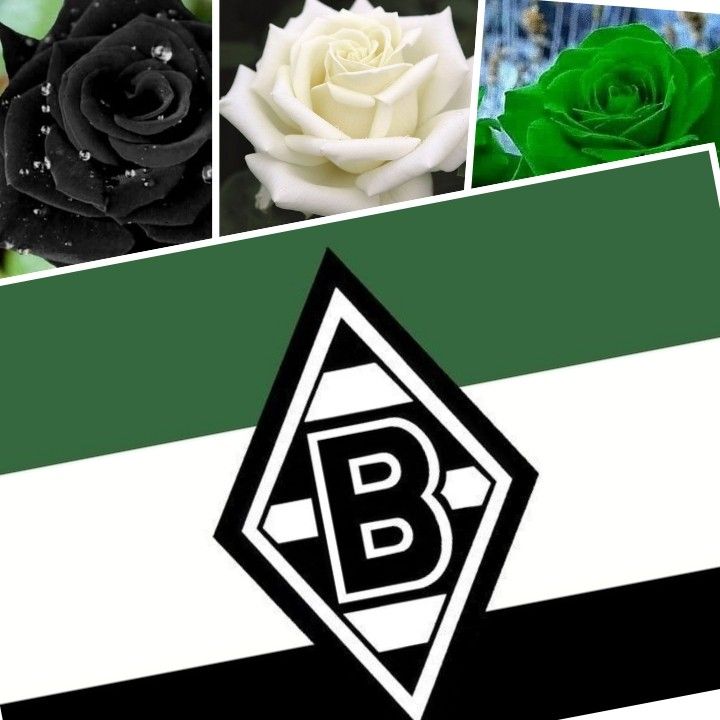 Pin auf Borussia
