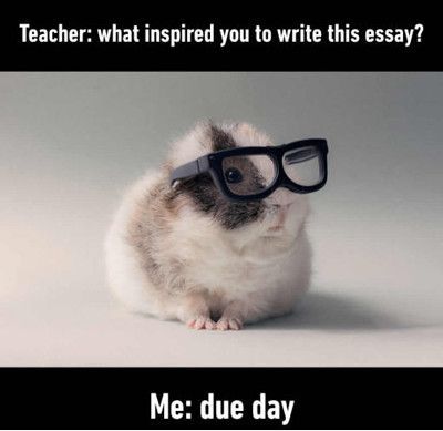 college essay meme Essay memes updated daily, for more funny memes check our homepage. college essay meme Essay memes updated daily, for more funny memes check our homepage.