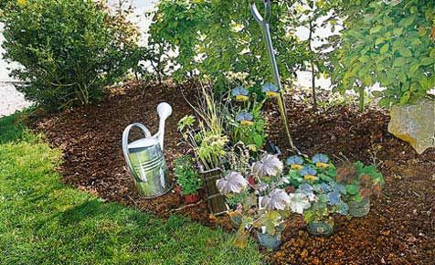 16 besten Garten Bilder auf Pinterest Gardening, Balkon und - vorgarten gestalten asiatisch 16 besten Garten Bilder auf Pinterest Gardening, Balkon und - vorgarten gestalten asiatisch