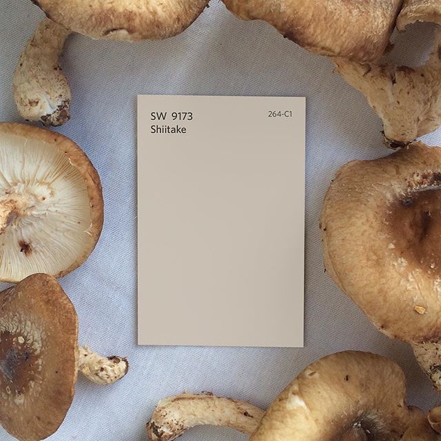 SherwinWilliams on Instagram “Introducing Shiitake SW