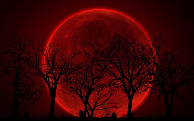 Gothic and Amazing | Red moon, Rouge aesthetic, Red aesthetic