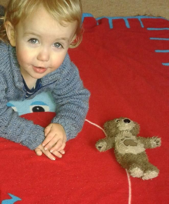 morrisons large teddy bear