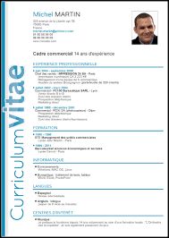 formatos curriculo