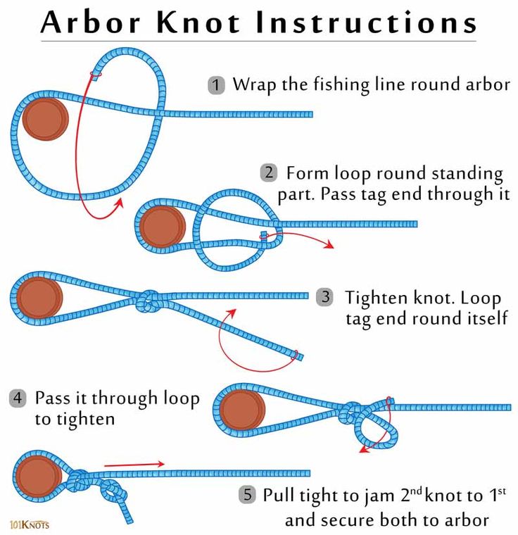 How to Tie an Arbor Knot | Fishing line knots, Knots, Camping knots