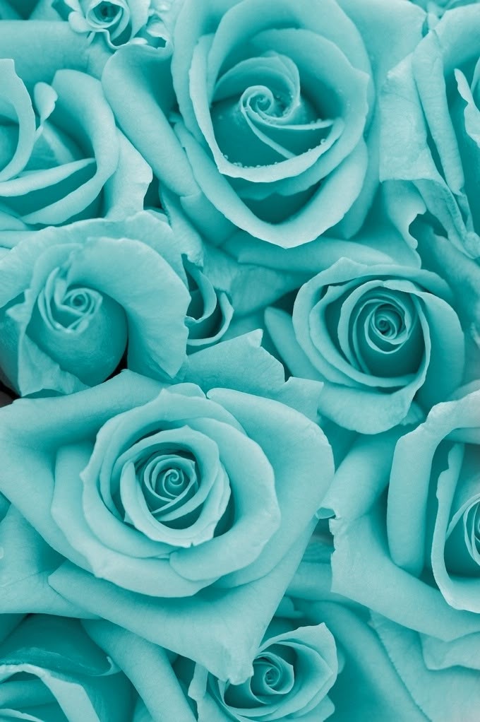 46 Best Wedding Flowers Images On Pinterest Blue Roses