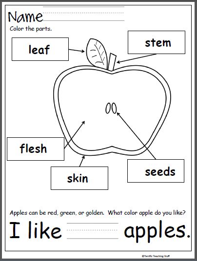 apples kindergarten homework apples kindergarten homework