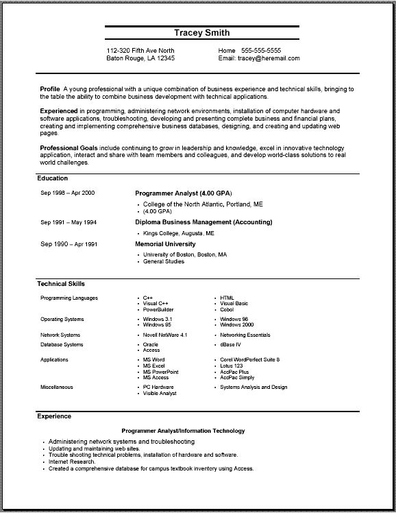 professional resume template image