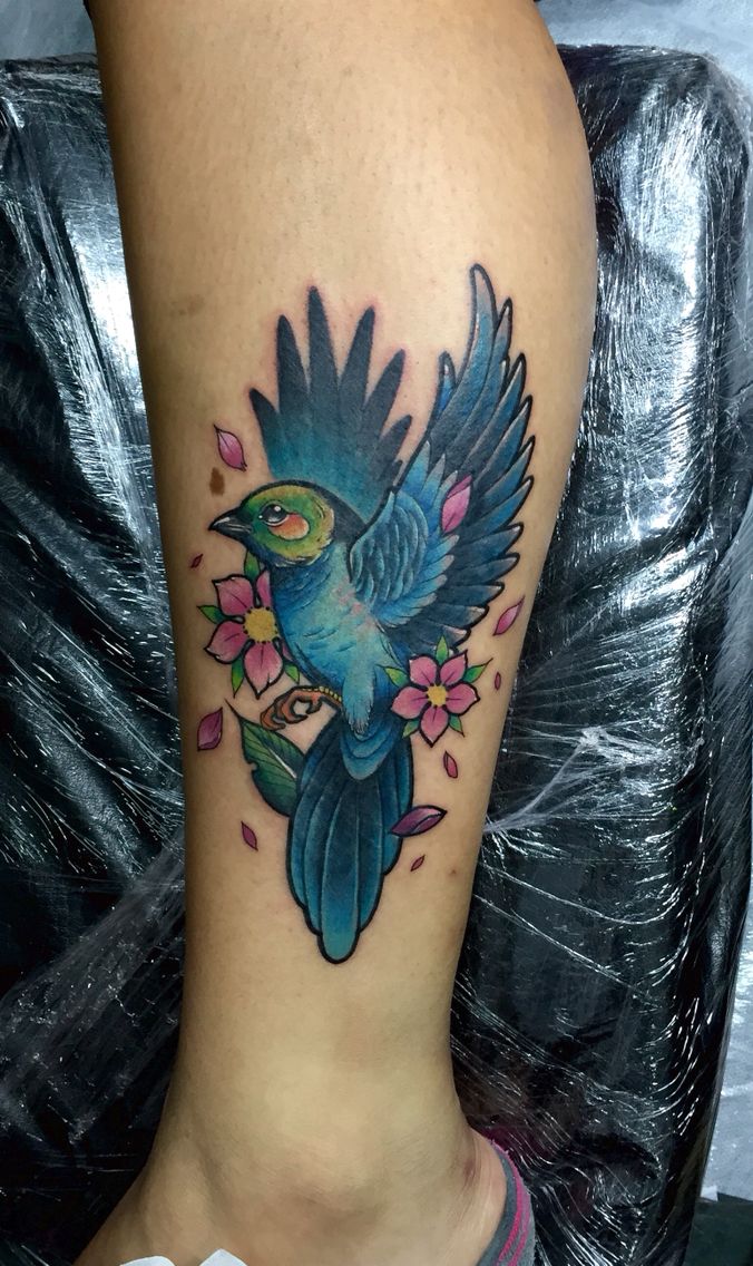 bird neotraditional tattoo by juan david castro r tattoo bird neotraditional tattoo by juan david castro r tattoo