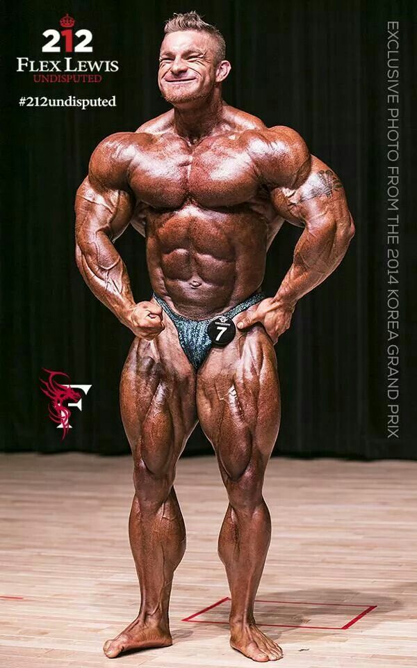Bodybuilding Anatomie Nick Evans Pdf Writer Bodybuilding Anatomie Nick Evans Pdf Writer