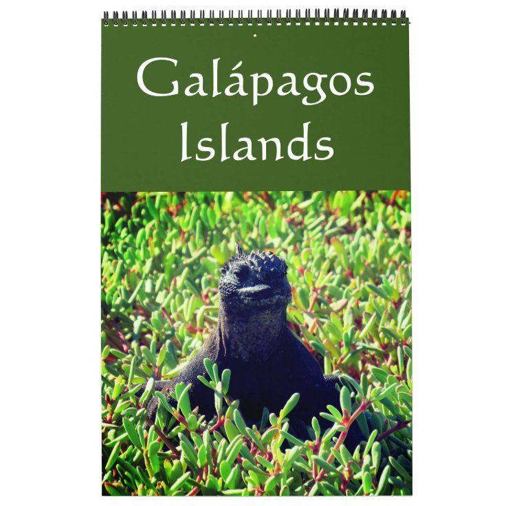 galapagos islands calendar Zazzle galapagos islands calendar Zazzle