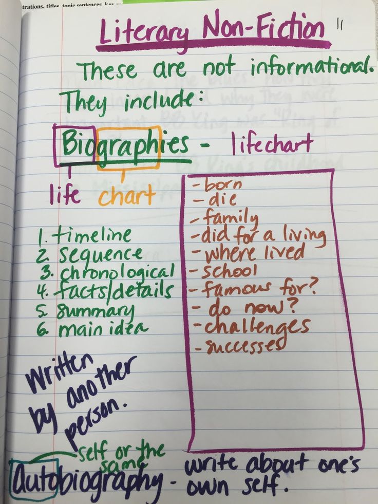 Application essay writing 4th grade