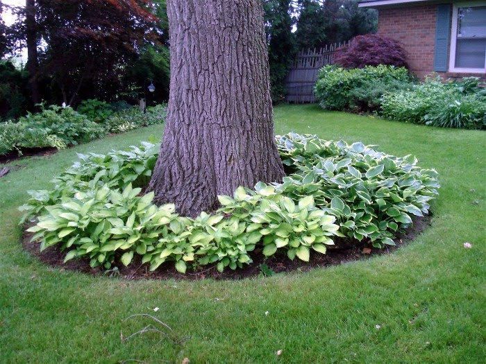 are you looking for landscaping designs ideas around a tree for backyard or front yard - Garden Ideas Under Trees are you looking for landscaping designs ideas around a tree for backyard or front yard - Garden Ideas Under Trees