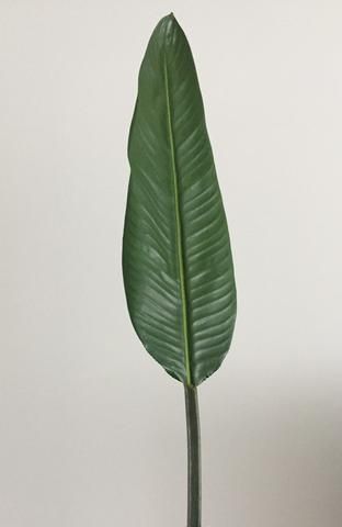 artificial strelitzia bird of