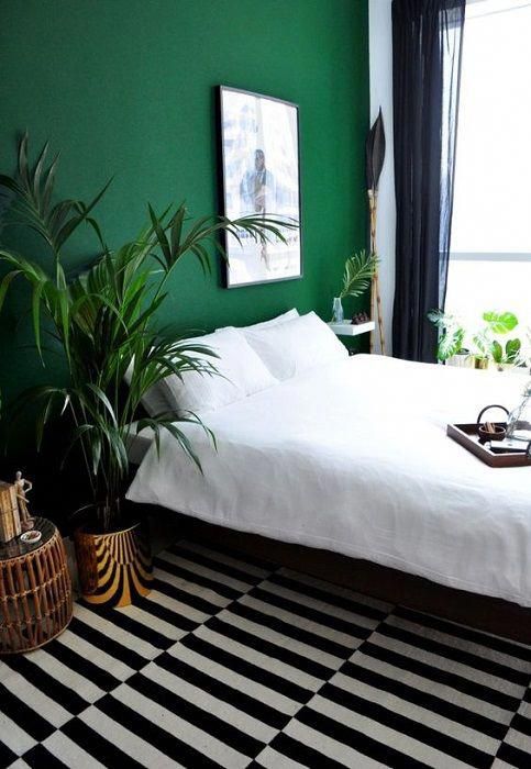 Find Out 5 Efficient Tips How To Decorate Green Plants For Small Find Out 5 Efficient Tips How To Decorate Green Plants For Small Bedroom Homedecortipsok