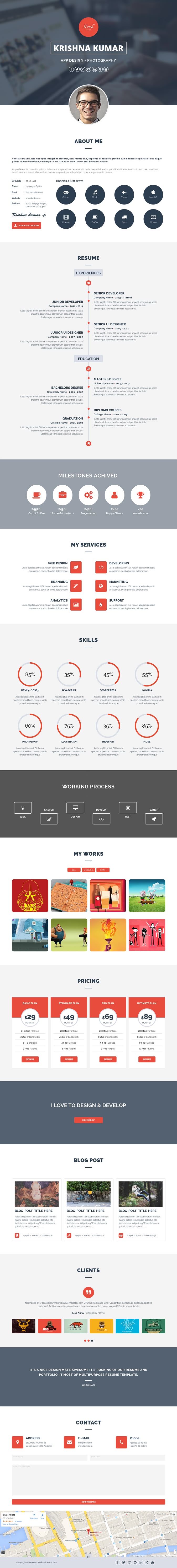online resume portfolio examples