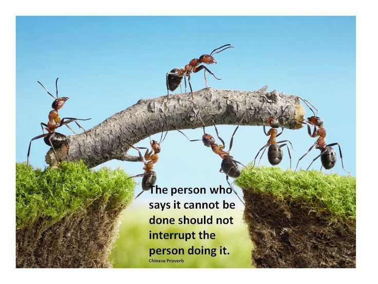 working in a team example