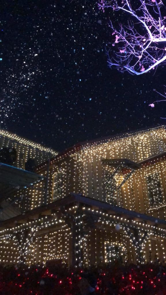 Top 3 Light Shows In Atlanta With Images Easy Wedding Planning Light Show Atlanta Wedding