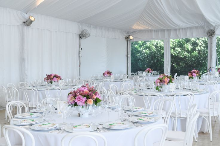 Download Pin by Twenty Three Layers on Animal Shelter Gala | Table ...