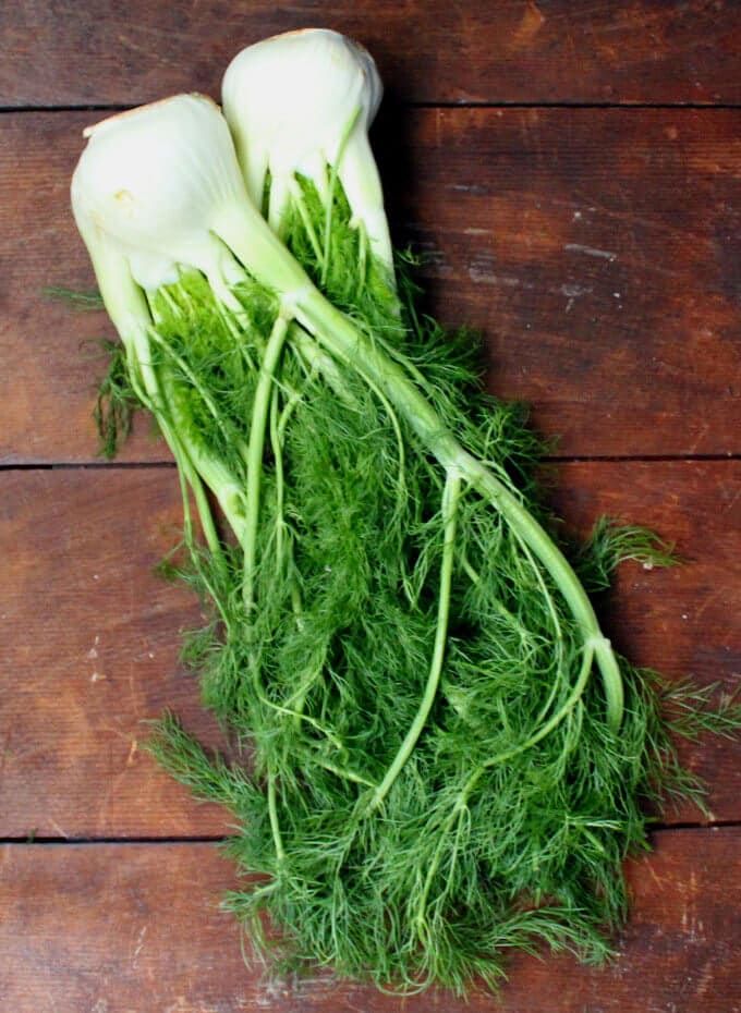 Fennel Fronds Pesto Recipe Fennel, Fennel recipes, Pesto