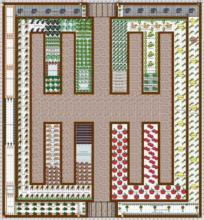 best 25+ vegetable garden design ideas on pinterest | vege garden best 25+ vegetable garden design ideas on pinterest | vege garden