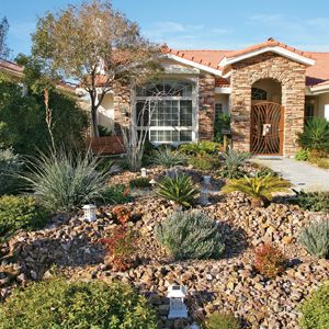 Get Paid To Not Plant Gr Gardening Drought Resistant Plants Get Paid To Not Plant Gr Gardening Drought Resistant Plants Front Yard Landscaping