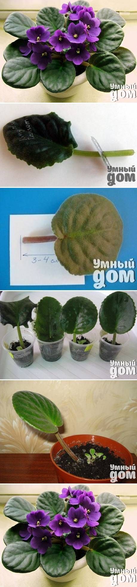 4762 best gardening and outdoor decor images on pinterest 4762 best gardening and outdoor decor images on pinterest