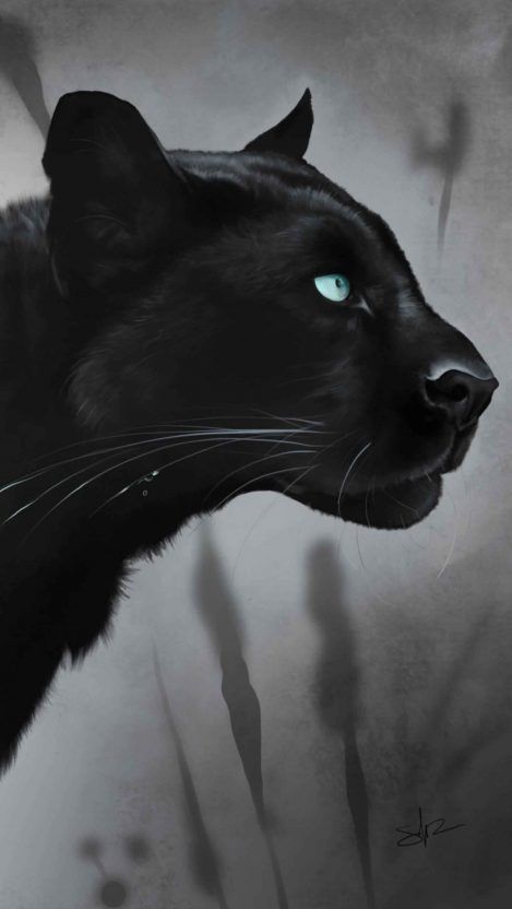 pic Iphone 6 Black Jaguar Wallpaper black jaguar iphone wallpaper black