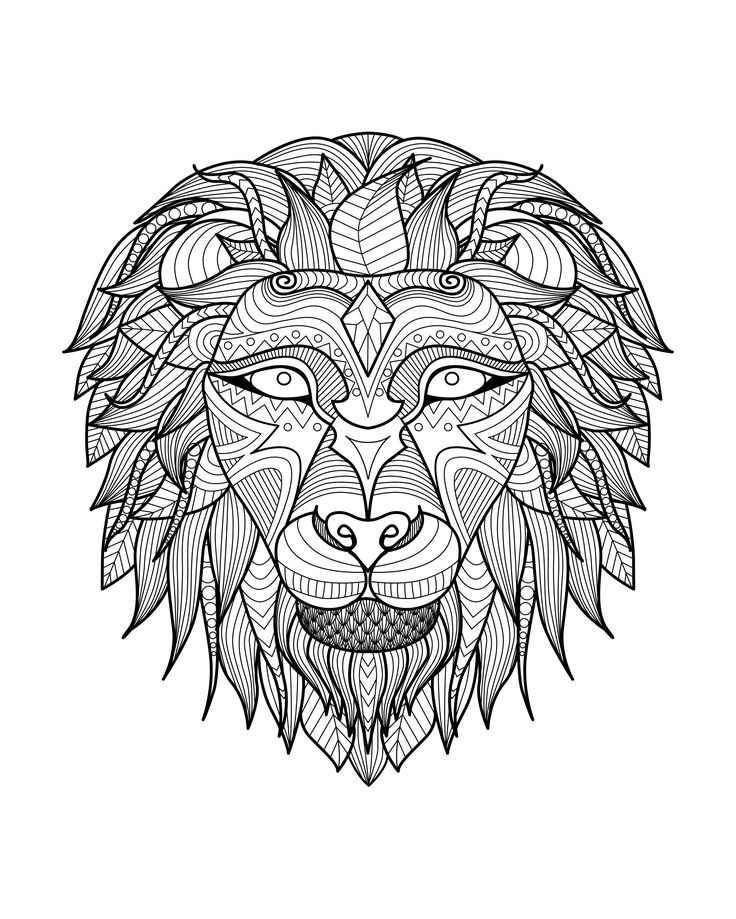 Adult Lion Head 2 Coloring Pages Printable And Book To Print For Free Find More Online Kids Adults Of